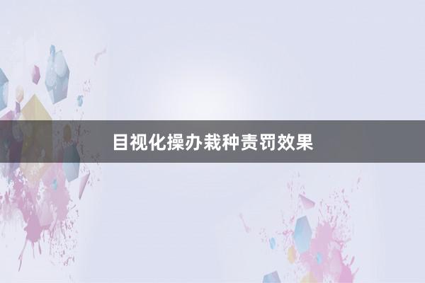 目视化操办栽种责罚效果
