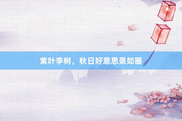 紫叶李树，秋日好意思景如画
