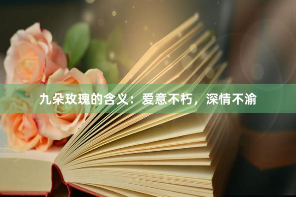 九朵玫瑰的含义：爱意不朽，深情不渝
