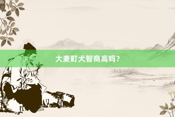 大麦町犬智商高吗？